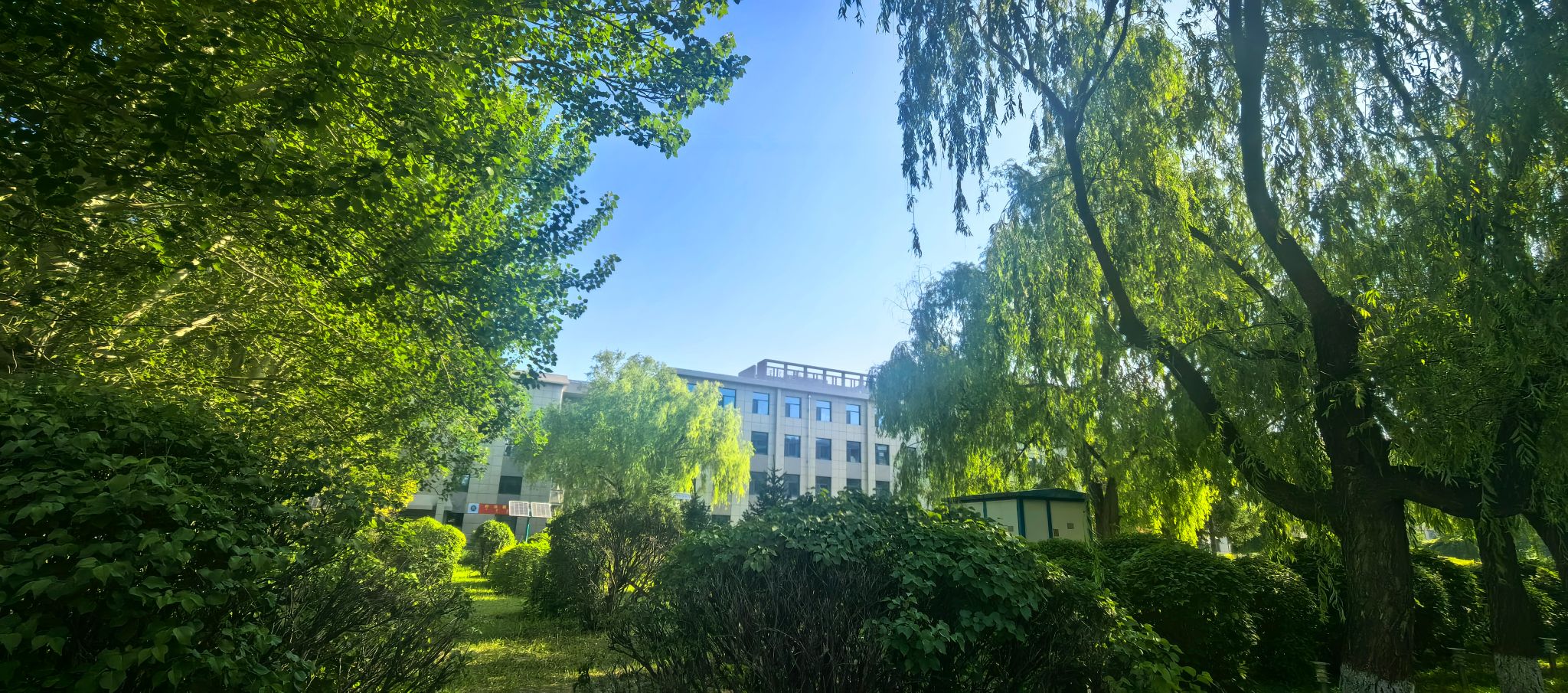 校园景致