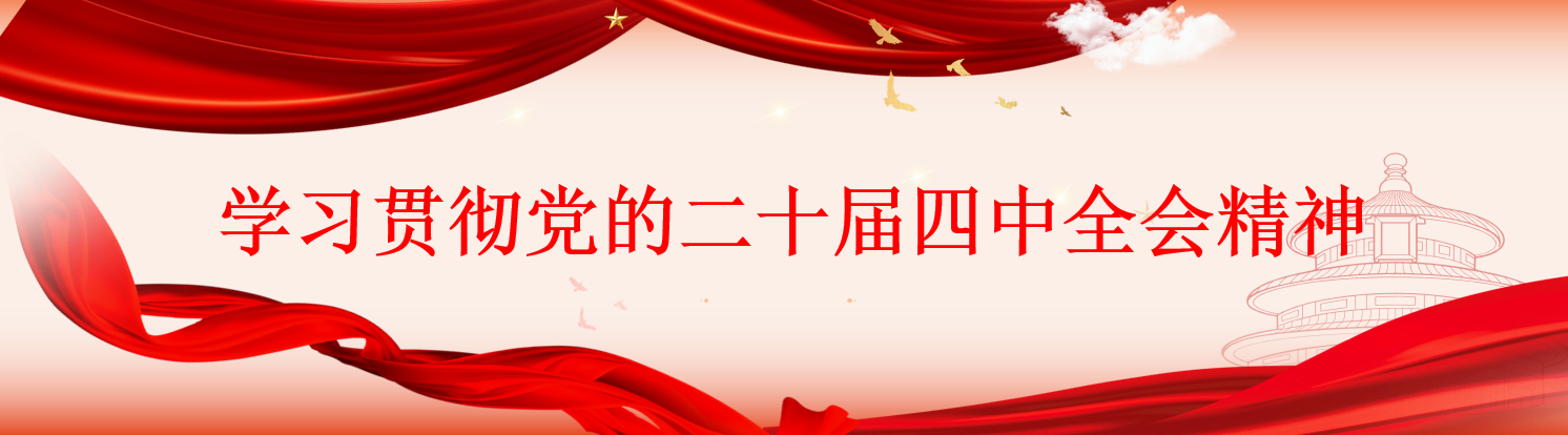 进建贯彻党的二十届四中全会心灵
